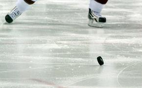 Питерский хоккейный клуб СКА обыграл челябинский "Трактор" со счетом 7:0