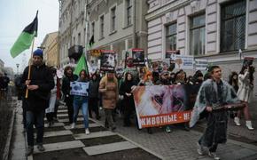 Власти Воронежа не согласовали проведение антимехового марша