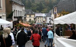 В Люксембурге будут штрафовать не явившихся на выборы