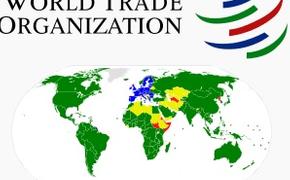 Россия намерена обратиться в ВТО по поводу антидемпинговых пошлин ЕС