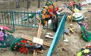 Два подростка разгромили 87 могил на кладбище в Одесском районе
