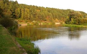 Москве-реке дадут начальника