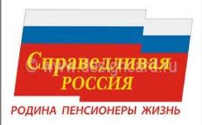 Мизулина решила уйти из центрального совета «Справедливой России»