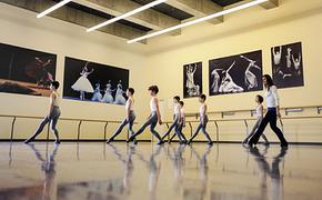 Новая должность Цискаридзе взорвала мир балета