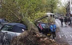 Депутаты собираются наказать водителей-агрессоров