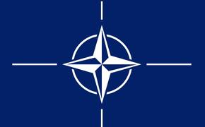 Крупнейшие военные учения НАТО стартовали у российской границы