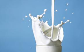 Молоко спасает зубы от бактерий