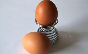 ФАС разберется с дорогими куриными яйцами