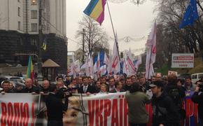 Сторонники Тимошенко митингуют у здания Верховной Рады Украины ВИДЕО