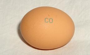 ЦБ успокаивает: яйца вздорожали немонетарно и ненадолго