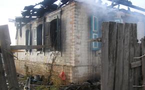 В пожаре под Волгоградом погибли две женщины и годовалый малыш