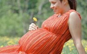 Физические упражнения во время беременности развивают мозг малыша