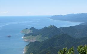 Татарский пролив кишит бычками, камбалой и треской