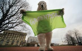 Активистов Greenpeace хотят засадить еще на три месяца