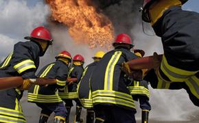 МЧС не дали пожару на газостанции в Питере стать нацбедствием
