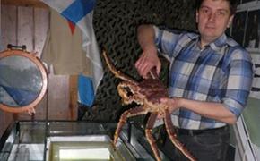 ЧМ-2014: краб Петрович продолжит дело осьминога Пауля