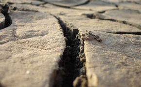 Землетрясение магнитудой 4,5 потрясло Сахалин