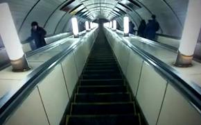Движение на фиолетовой ветке метро Петербурга было остановлено