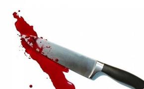 В Подмосковье сотрудника полиции убил ударом ножа в сердце 19-летний парень
