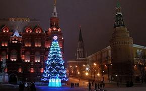 Установка главной новогодней ели страны начнется сегодня в Кремле