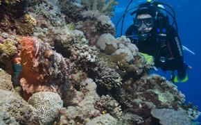 На курорте Тайланда строят искусственные коралловые рифы