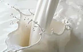 Сыры и масло President будут готовить на индийском молоке