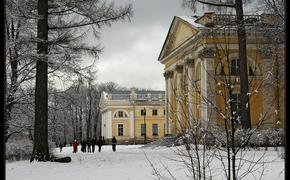 Реставрация Александровского дворца в «Царском Селе» открыла неизвестные детали