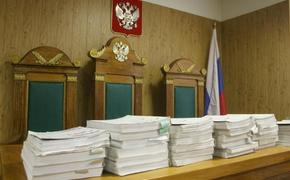 Парламентское расследование по Сердюкову отложено до 17 января