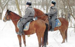 Всадники порядка