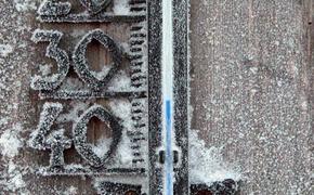 Московские коммунальщики обещают холодный бесснежный февраль
