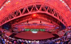 Делегация сборной России на церемонии открытия ОИ насчитывает 250 человек