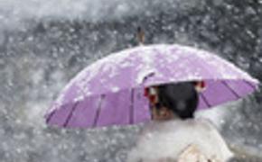 В Японии из-за снегопада пострадали более 500 человек, трое погибли