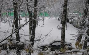 В Ростове женщину убила снежная глыба, упавшая с крыши здания