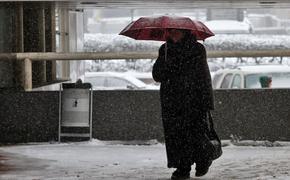 В Москве может пройти ледяной дождь