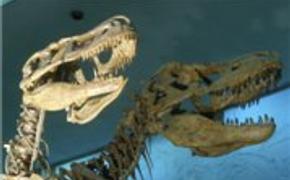 Упавший метеорит окислил океаны и поспособствовал вымиранию динозавров