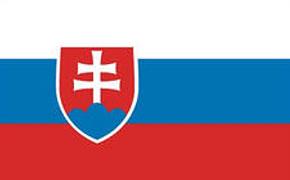 В Словакии сегодня проходят  выборы президента