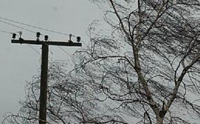 В Волгоградской области без света остались порядка 35 населенных пунктов