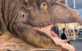 Американский климат тираннозавра сделал карманным  (ФОТО, ВИДЕО)