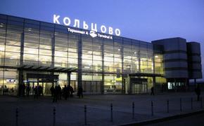Метель задержала в аэропорту Екатеринбурга 20 рейсов