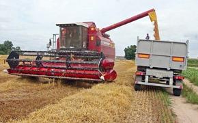 Белоруссия и Россия обсудили сотрудничество в сельском хозяйстве