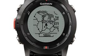 Приручить тренера