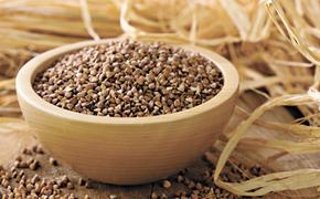 Украину закормили российской гречкой