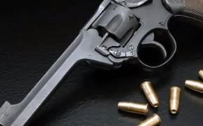 Мужчину,  «напечатавшего» пистолет  на 3D-принтере,  арестовали в Японии
