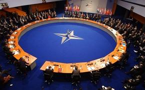 Швеция и Финляндия могут быстро вступить в НАТО