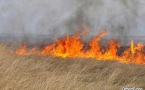 В Иркутской области из-за степного пожара загорелся поселок