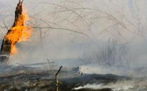 В Приангарье из-за лесных пожаров введен режим ЧС