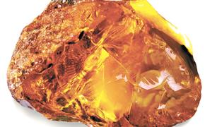 В Калининграде найден самый крупный в истории янтарный клад