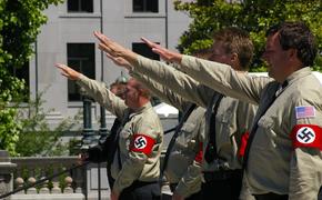 В Думе разрешение судом Швейцарии нацистского приветствия считают циничным