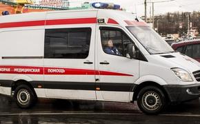 ДТП в Красном Селе: один ребенок погиб, двое пострадали