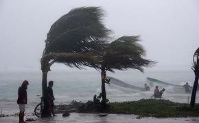 У берегов Мексики шторм «Аманда» стал ураганом